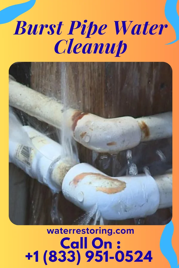 Burst Pipe Water Cleanup in Williams, AZ