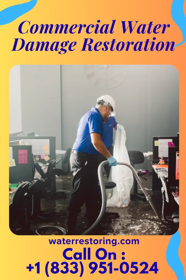 Commercial Water Damage Restoration in Williams, AZ