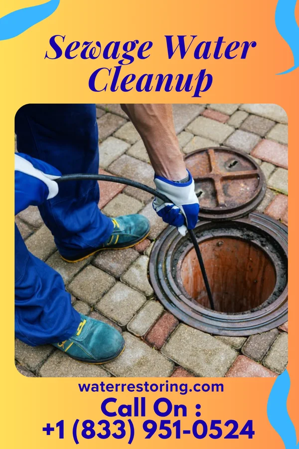 Sewage Water Cleanup in Williams, AZ