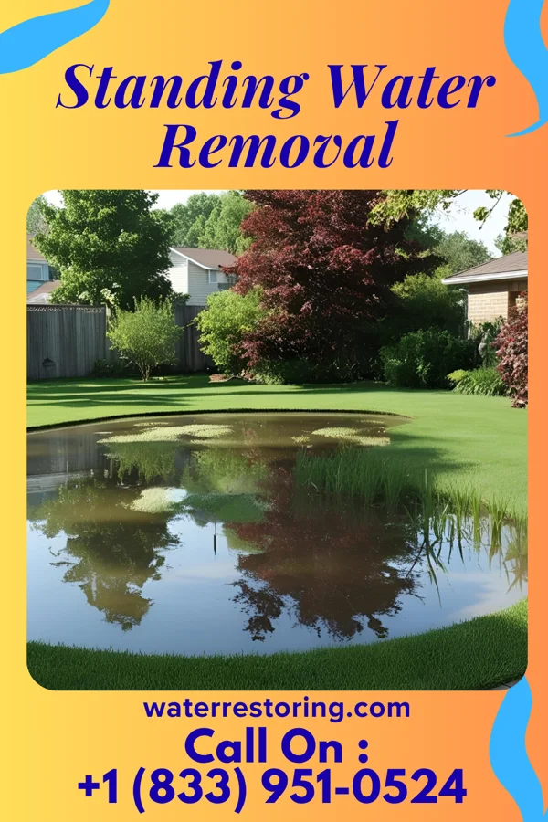 Standing Water Removal in Williams, AZ